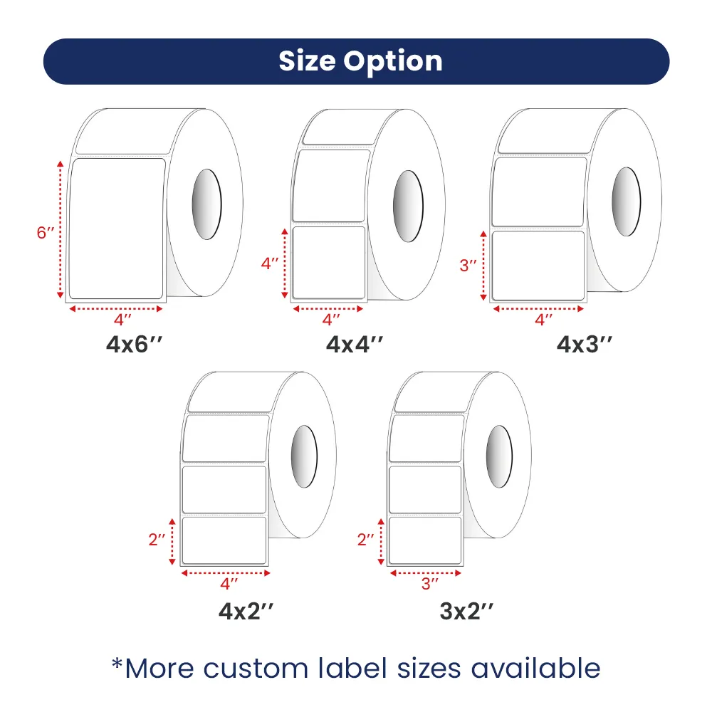 shipping label sizes webp